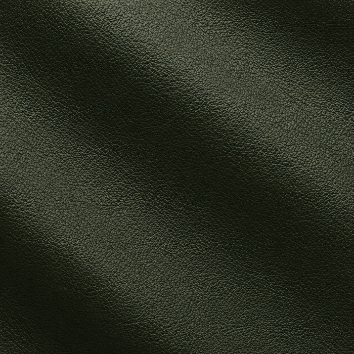 Кожа мебельная Mastrotto Classic