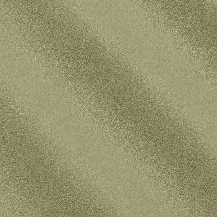 Кожа мебельная Mastrotto Primalinea