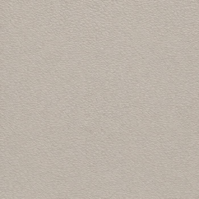 Кожзаменитель Witmar гладкий